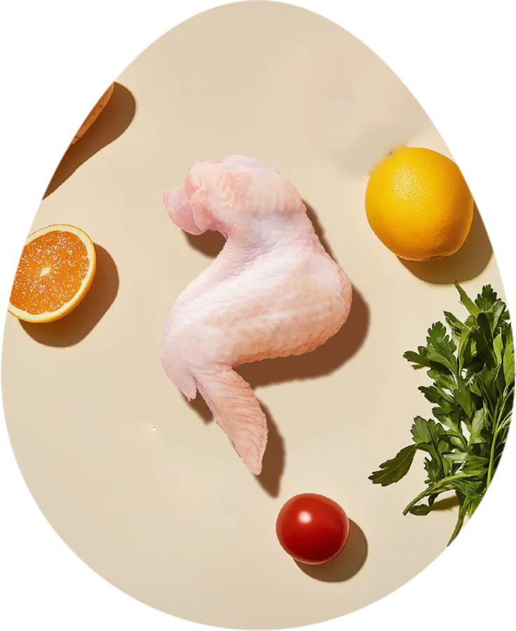 Alitas de pollo