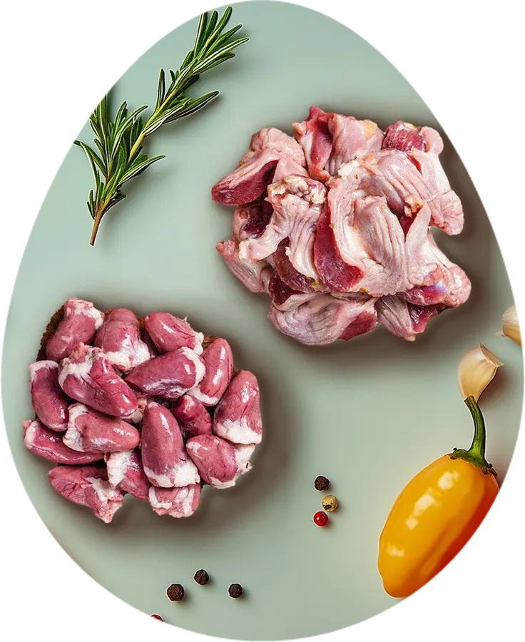 Menudencia y vísceras de pollo