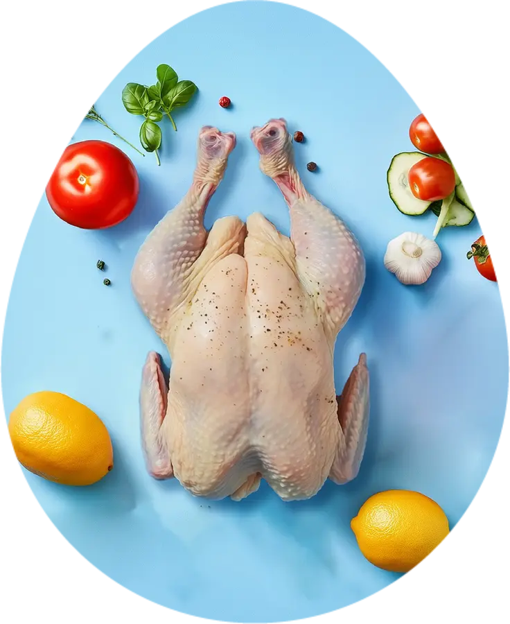 Pollo vacío ABP